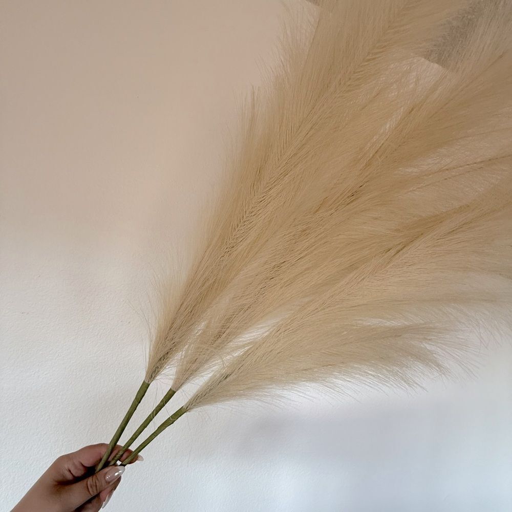 Cream large pampas grass